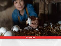 खेती से जुड़ा ये शानदार बिजनेस करने के लिए 10 लाख रुपये देगी सरकार, यहां अप्लाई करके उठायें लाभ