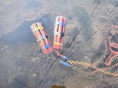 Raigad : पेणमध्ये संशयस्पद वस्तू आढळली, मुंबईचं बॉम्बशोधक पथक दाखल, तपास सुरु