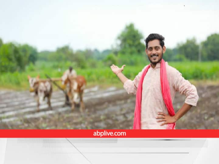 agriculture growth area under food grains in Bihar is increasing year by year Agriculture Growth: इस तरह साल दर साल बढ़ती गई बिहार में खाद्यान्न की उपज, किसानों की इनकम भी बढ़ गई