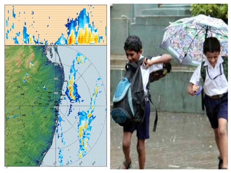 Kanchipuram Thiruvallur Schools Colleges Declared Holiday 11th November Due to Heavy Rain Alert- District Collector Schools Colleges Leave:  மீண்டும் தொடங்கிய கனமழை.. எந்தெந்த மாவட்டங்களில் பள்ளி, கல்லூரிகளுக்கு விடுமுறை.. அறிவுறுத்தல்கள் என்னென்ன?