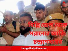 গোপনাঙ্গে গুরুতর আঘাতের অভিযোগ, দিল্লির জেল থেকে অন্যত্র সরাতে আর্জি সুকেশ চন্দ্রশেখরের