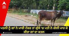 Patiala News: ਪਤਨੀ ਨੂੰ ਗਾਂ ਨੇ ਮਾਰੀ ਟੱਕਰ ਤਾਂ ਗੁੱਸੇ 'ਚ ਪਤੀ ਨੇ ਗੋਲੀ ਮਾਰ ਕੇ ਕੀਤਾ ਗਾਂ ਦਾ ਕਤਲ