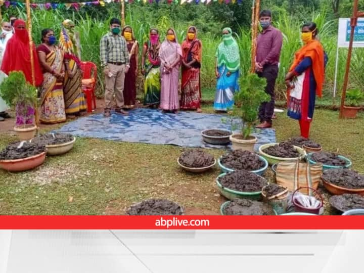 Chhattisgarh Farmers earned crores of profit by selling Gobar Gaumutra under Gaudhan Nyay Y​ojna Godhan Nyay ​Yojna: इस राज्य ने साबित कर दिया...गोबर-गौमूत्र बेचकर भी कमा सकते हैं करोड़ों, आप भी उठाएं फायदा