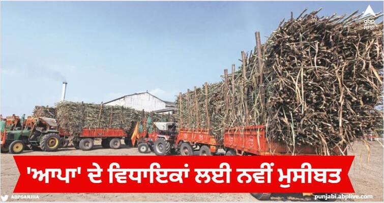 New trouble for 'Aam Aadmi Party' MLAs, trolleys loaded with sugarcane will stand in front of MLAs' houses Jalandhar News: 'ਆਮ ਆਦਮੀ ਪਾਰਟੀ' ਦੇ ਵਿਧਾਇਕਾਂ ਲਈ ਨਵੀਂ ਮੁਸੀਬਤ, ਵਿਧਾਇਕਾਂ ਦੇ ਘਰਾਂ ਅੱਗੇ ਖੜ੍ਹਣਗੀਆਂ ਗੰਨਿਆਂ ਨਾਲ ਲੱਦੀਆਂ ਟਰਾਲੀਆਂ