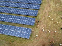 India Saved $4.2 Billion In Fuel Cost Through Solar Energy In The First Half of 2022: Report