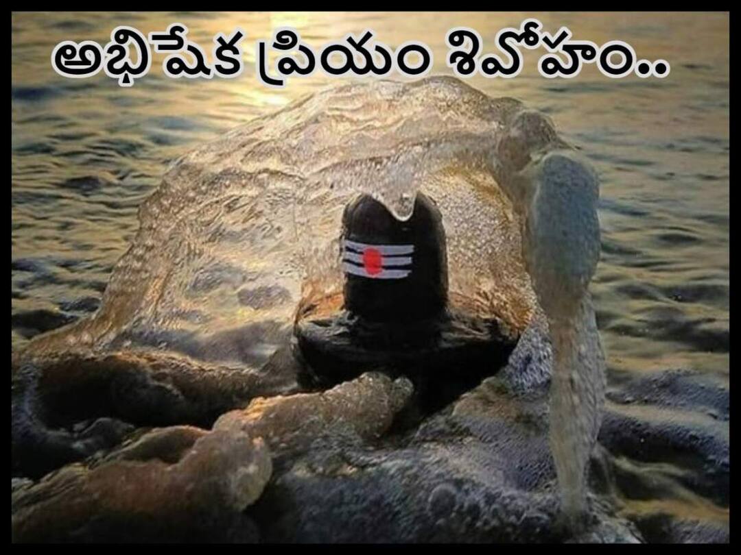 Shiva Linga Abhishekam How Many Types Of Abhishekam Are There For Lord Shiva, Shiva Abhishekam