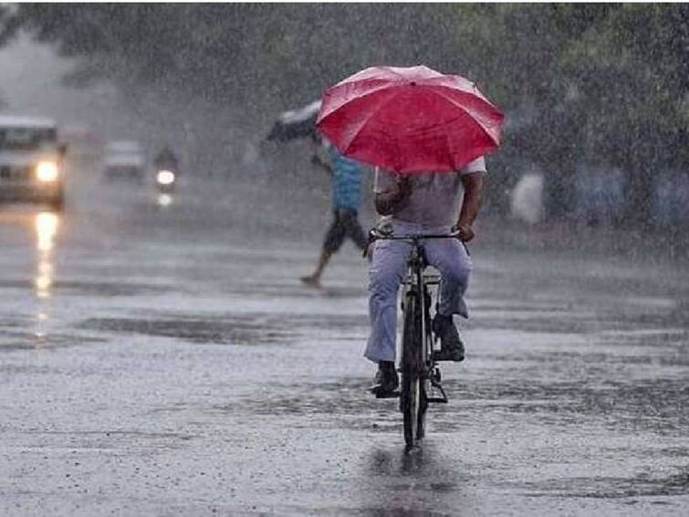 heavy to very heavy rainfall expected in TN , orange and yellow alert given to many districts by imd Rain alert: குடை, ரெயின் கோட் இல்லாம இன்று இங்கெல்லாம் போகாதீங்க... சூடான மழை அப்டேட் இதுதான்..