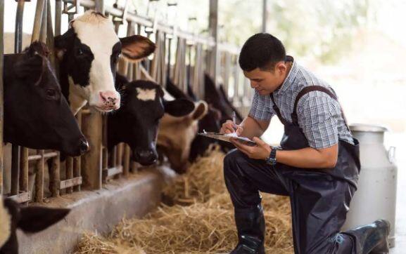 Farmers will get dairy training, a four-month course starting from 14  November 2022 Dairy Training : ਕਿਸਾਨਾਂ ਨੂੰ ਮਿਲੇਗੀ ਡੇਅਰੀ ਸਿਖਲਾਈ, ਚਾਰ ਮਹੀਨਿਆਂ ਦਾ ਕੋਰਸ 14 ਨਵੰਬਰ ਤੋਂ ਸ਼ੁਰੂ