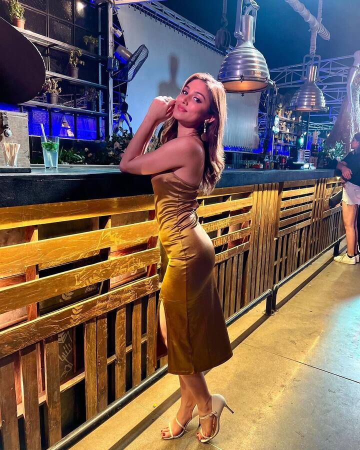 डोनलने चमकदार गुलाबी न्यूड मेकअपसह तिचा लूक पूर्ण केला आहे. यासोबत तिने आपले केस उघडे ठेवले आहेत .(फोटो सौजन्य : donalbisht/ इंस्टाग्राम )