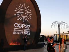 COP27: India Insists On New Global Climate Finance Target By 2024