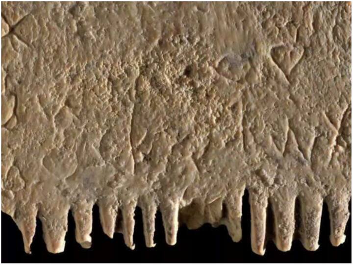 3700 साल पहले भी जूं से परेशान थे लोग, इजरायल में मिली हजारों साल पुरानी कंघी से खुला राज Historical Comb Found In Israel Scientist Doing Research on this comb 3700 साल पहले भी जूं से परेशान थे लोग, इजरायल में मिली हजारों साल पुरानी कंघी से खुला राज