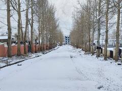 Parts Of Himachal Pradesh, Uttarakhand Receive Heavy Snowfall — IN PICS