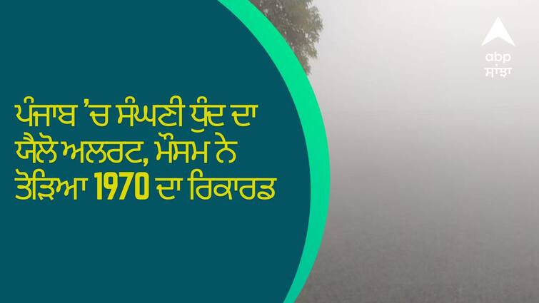 Today Weather Report in Punjab weather broke the record of 1970 Weather Report: ਪੰਜਾਬ 'ਚ ਸੰਘਣੀ ਧੁੰਦ ਦਾ ਯੈਲੋ ਅਲਰਟ, ਮੌਸਮ ਨੇ ਤੋੜਿਆ 1970 ਦਾ ਰਿਕਾਰਡ