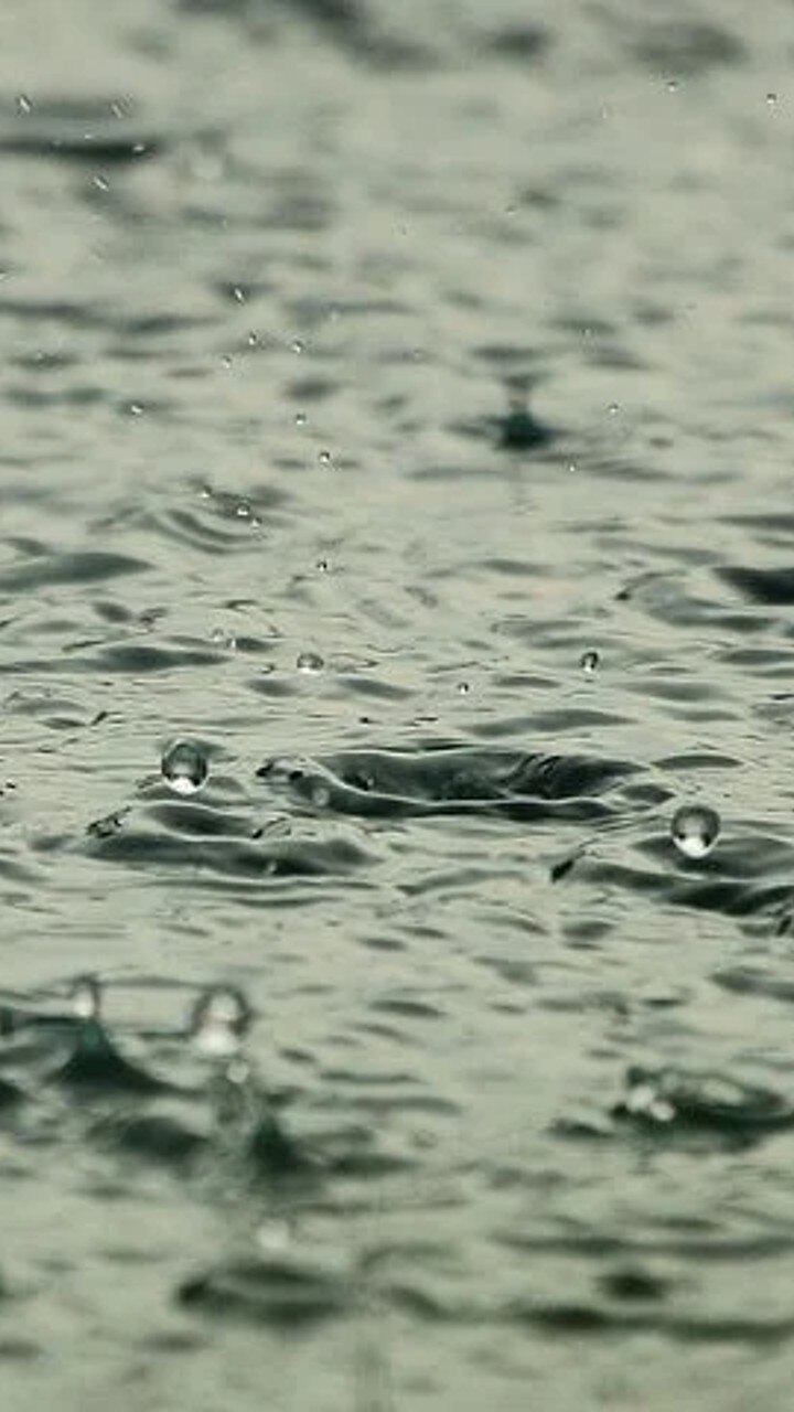 அதிகபட்சமாக சென்னையில்