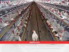 खेती से नहीं होती ज्यादा कमाई तो उस जमीन पर बनायें पोल्ट्री फार्म, इस राज्य में किसानों को मिल गई परमिशन