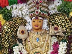 ஐப்பசி மாத கிருத்திகை பூஜை - ஸ்ரீ பாலமுருகனுக்கு சிறப்பு அபிஷேகம்
