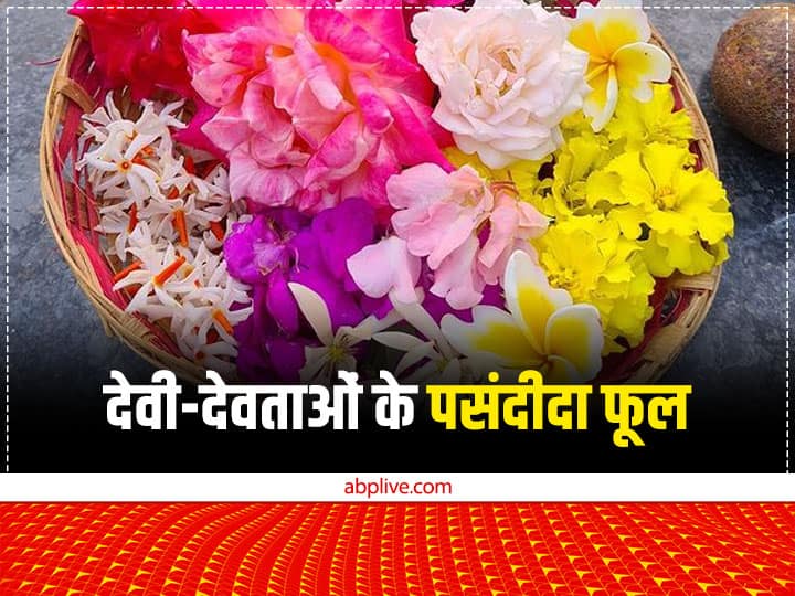 Puja Path: पूजा में सुगंधित फूल देवी-देवताओं को अर्पित करने से वह जल्द प्रसन्न होते हैं. वैसे तो सभी पुष्प भगवान को चढ़ाएं जाते हैं लेकिन कुछ फूल ईश्वर को विशेष प्रिय हैं. इस मनोरथ जल्द पूर्ण होते हैं.