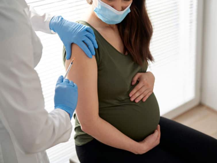 COVID Vaccine Leads To Higher Antibody Levels In Pregnant Women And Their Babies Than Natural Infectees: Study COVID Vaccine Leads To Higher Antibody Levels In Pregnant Women And Their Babies Than Natural Infectees: Study