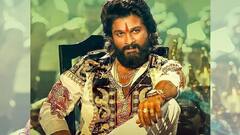 বাজেট বাড়ল বিপুল! কত টাকা খরচ করে তৈরি হচ্ছে 'পুষ্পা ২'?