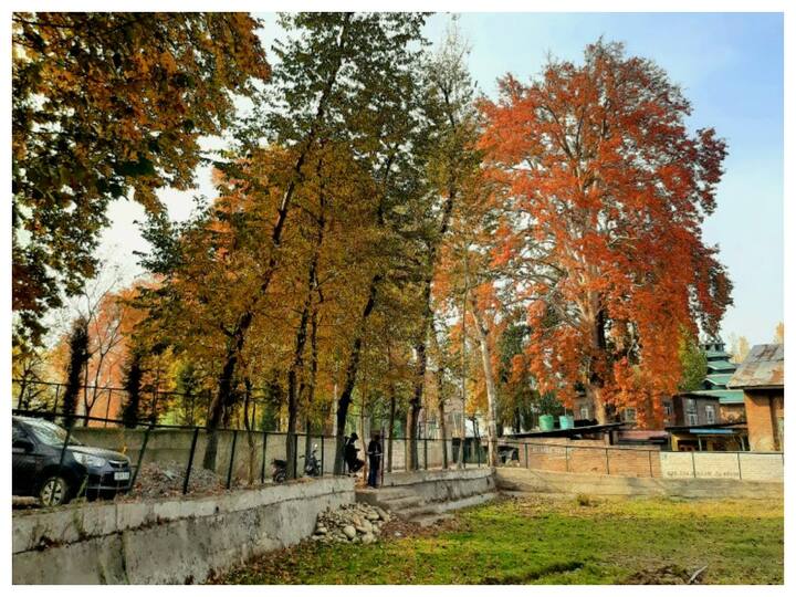 This year, more than 25 lakh tourists have visited Kashmir so far, and this number is the highest in the last 75 years. (Image: Twitter/@theaarifhussain)