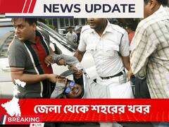 গরু ও কয়লা পাচারের টাকা কি ঘুরপথে মলয় পিটের সংস্থায়?