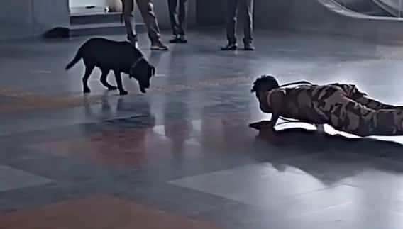 Viral Video: ਦਿੱਲੀ ਮੈਟਰੋ ਸਟੇਸ਼ਨ 'ਤੇ ਕੁੱਤੇ ਨੇ CISF ਜਵਾਨ ਨਾਲ ਕੀਤਾ ਯੋਗਾ, ਧਮਾਲ ਮਚ ਰਹੀ ਹੈ ਇਹ ਵੀਡੀਓ Viral Video: ਦਿੱਲੀ ਮੈਟਰੋ ਸਟੇਸ਼ਨ 'ਤੇ ਕੁੱਤੇ ਨੇ CISF ਜਵਾਨ ਨਾਲ ਕੀਤਾ ਯੋਗਾ, ਧਮਾਲ ਮਚ ਰਹੀ ਹੈ ਇਹ ਵੀਡੀਓ