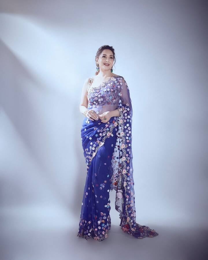 इसके अलावा एक्ट्रेस के कलेक्शन में ये ऑर्गेंजा ब्लू साड़ी भी है. फ्लोरल एम्ब्रॉयडरी से सजी ये साड़ी एक्ट्रेस की खूबसूरती को और भी बढ़ा रही हैं.
