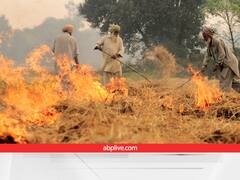Stubble Burning: पराली जलाते मिले किसान, यूपी सरकार ने रोक दी किसान सम्मान निधि