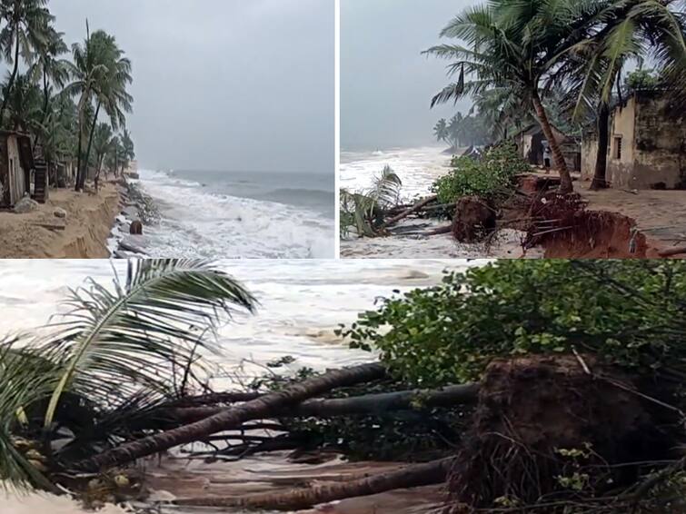 Puducherry: 2 houses and 5 coconut trees were swept into the sea due to rough seas TNN புதுச்சேரி: கடல் சீற்றத்தால் கடலுக்குள் இழுத்துச் செல்லப்பட்ட வீடுகள், மரங்கள்