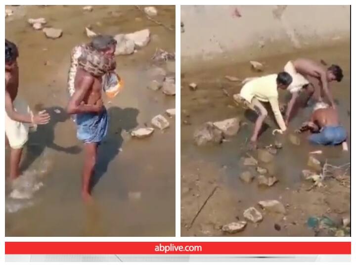 Video: शराब के नशे में मछली के बजाए पकड़ लिया अजगर, गर्दन को जकड़ हालत कर दी खराब drunken man caught a python instead of fish than python clung to his neck Video: शराब के नशे में मछली के बजाए पकड़ लिया अजगर, गर्दन को जकड़ हालत कर दी खराब