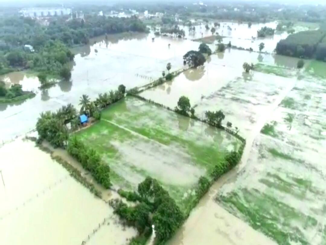 மயிலாடுதுறை மாவட்டத்தில் வரலாறு காணாத மழை, அதிகபட்சமாக சீர்காழியில் 43 சென்டிமீட்டர் மழை பதிவு! Record rainfall in Mayiladuthurai district மயிலாடுதுறை மாவட்டத்தில் வரலாறு காணாத மழை, அதிகபட்சமாக சீர்காழியில் 43 சென்டிமீட்டர் மழை பதிவு!