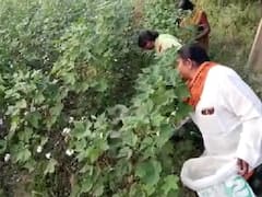 గ్రామాభివృద్ధి కోసం అప్పులు చేసి కూలీగా మారిన సర్పంచ్!