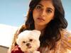 Anjali Photos : குறும்பா என் உலகே நீதான்...செல்லப் பிராணியுடன் நடிகை அஞ்சலி!