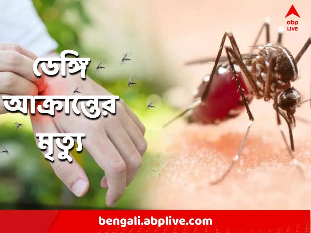 West Bengal Dengue Situation Kolkata Another dengue patient died Dengue Death: বাড়ছে উদ্বেগ, ফের শহরে ডেঙ্গি আক্রান্তের মৃত্যু