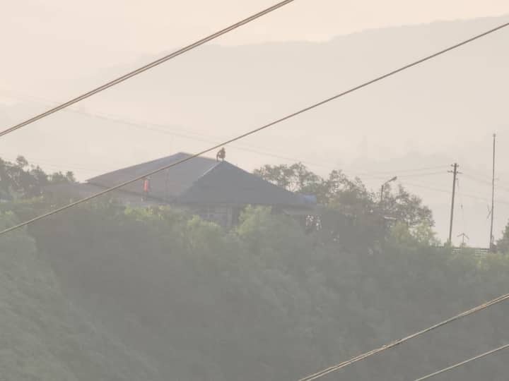 Afzal Khan Tomb: अफजल खान की कब्र के इर्द-गिर्द चला बुलडोजर, बीजेपी ने मनाया जश्न, निशाने पर उद्धव ठाकरे Maharashtra Afzal khan Graveyard illegal construction By Demolished by Eknath Shinde Government ANN Afzal Khan Tomb: अफजल खान की कब्र के इर्द-गिर्द चला बुलडोजर, बीजेपी ने मनाया जश्न, निशाने पर उद्धव ठाकरे