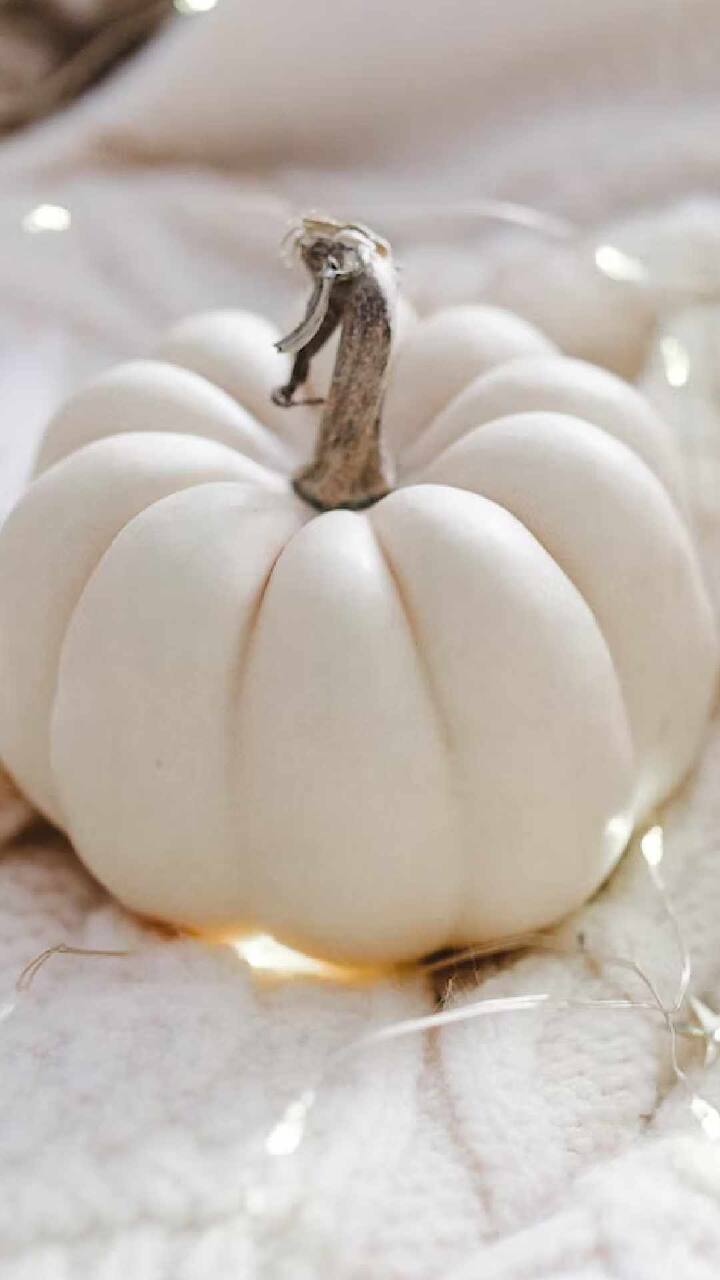 White Pumpkin : भोपळ्यामध्ये मॅग्नेशियम, फॉस्फरस, लोह, फोलेट, नियासिन आणि थायामिन यांसारख्या खनिजे भरपूर प्रमाणात असतात.