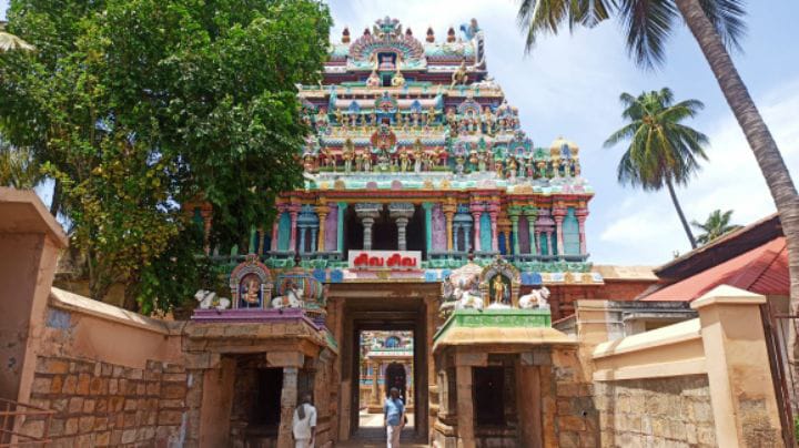 Thiruvanaikaval Temple History: திருச்சி திருவானைக்கோயில் ஜம்புகேஸ்வரர் அகிலாண்டேஸ்வரி கோயில் வரலாறு மற்றும் சிறப்பு