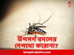 মস্তিস্কে রক্তক্ষরণ থেকে স্নায়ু-সমস্যা, ডেঙ্গির পরিণাম হচ্ছে মারাত্মক, করোনার কারণেই কি এই পরিবর্তন? 