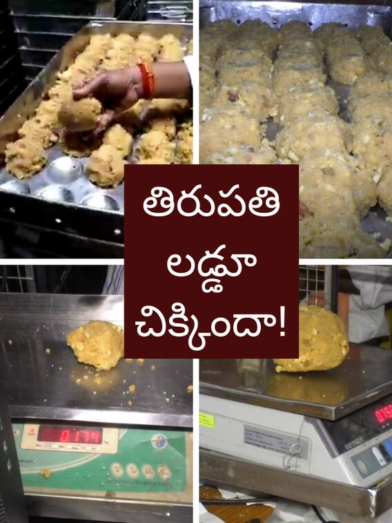 శ్రీవారి లడ్డూ బరువు తగ్గిందా?