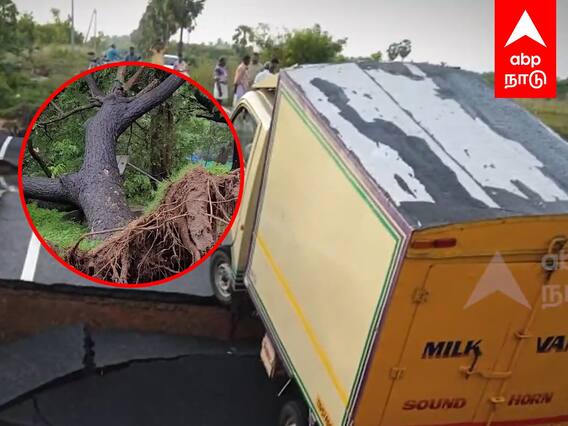 Mayiladuthurai : வேரோடு சாய்ந்த மரம்.. உள்வாங்கிய பாலம்..மயிலாடுதுறையில் திக்.. திக்..