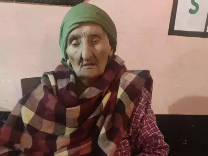 Himachal Older Voter 105-year-old Naro Devi voted at the polling booth of Himachal, the picture came out Himachal Older Voter: ਹਿਮਾਚਲ ਦੇ ਪੋਲਿੰਗ ਬੂਥ 'ਤੇ 105 ਸਾਲਾ ਨਰੋ ਦੇਵੀ ਨੇ ਪਾਈ ਵੋਟ, ਸਾਹਮਣੇ ਆਈ ਤਸਵੀਰ