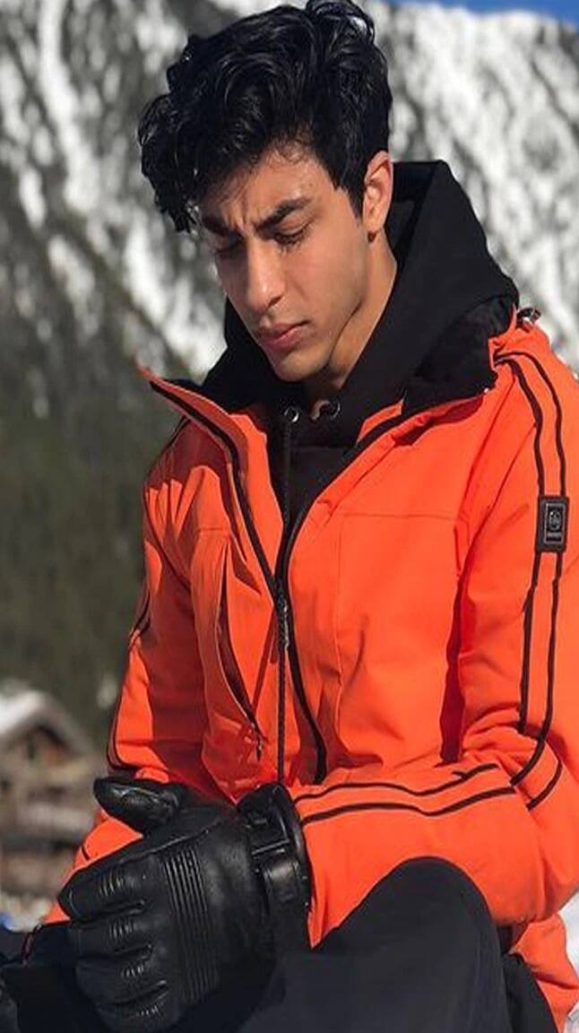 বিদেশেই পড়াশোনা আরিয়ান খানের। ফিল্ম মেকিং নিয়ে কোর্স করেছেন তিনি।