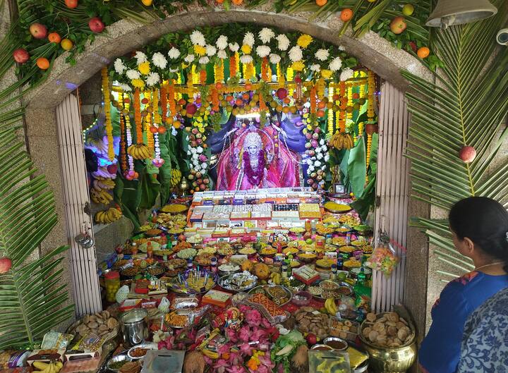 માતાજીને ધરાવેયાલા અન્નકૂટના દર્શન કરીને ભક્તો ધન્ય થઈ ગયા હતા.