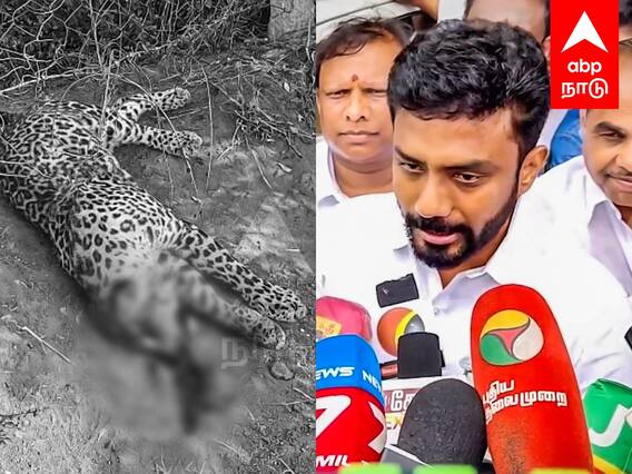 OP Ravindranath Press Meet : சிறுத்தையை கொன்றது யார்? - போட்டு உடைத்த OPR