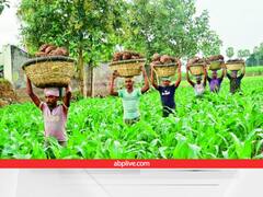 इन मानकों के आधार पर 'कृषि का सरताज' बनने जा रहा ये राज्य, यहां जानें सरकार की पूरा प्लानिंग