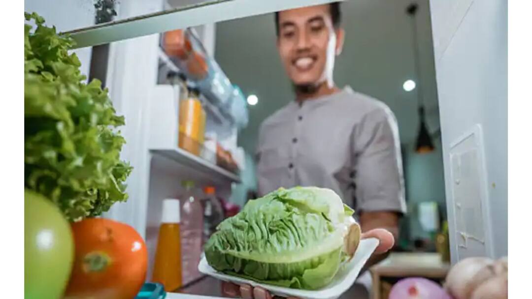 Refrigerator: ফ্রিজ ব্যবহারের নিয়মগুলো জানা আছে তো? All Season Hacks & Tricks To Optimally Use Your Refrigerator, know in details Refrigerator: ফ্রিজ ব্যবহারের নিয়মগুলো জানা আছে তো?