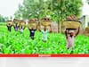 Farmer's Award: तकनीक से की बंपर पैदावार, अब किसानों को इस सम्मान से नवाजेगी ये सरकार