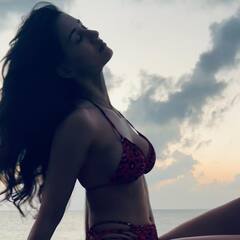 Disha Bikini Looks: બિકીની પહેરી ટોન્ડ બોડી ફ્લોન્ટ કરતી જોવા દિશા પટની