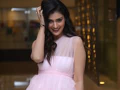 లైట్ పింక్ డ్రెస్ తో అదిరిపోయే ఫోజులిస్తోన్న పాయల్ రాజపుత్