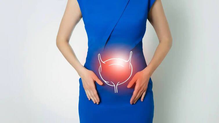 Urinary Bladder: Bladder can burst due to urinary retention... What happens and if it bursts, what will happen? Urinary Bladder : ਪਿਸ਼ਾਬ ਰੋਕਣ ਕਾਰਨ ਫਟ ਸਕਦਾ ਬਲੈਡਰ... ਕੀ ਹੁੰਦਾ ਹੈ ਤੇ ਜੇਕਰ ਫਟ ਜਾਵੇ ਤਾਂ ਕੀ ਹੋਵੇਗਾ?